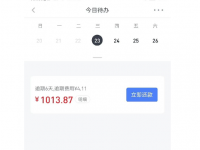 苏宁任性贷借不出钱怎么回事？